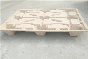 模壓托盤